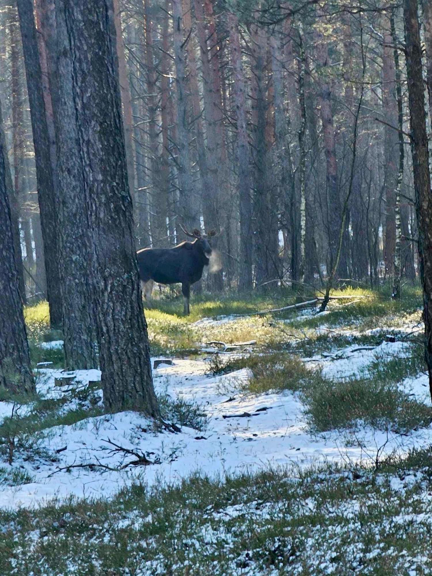 Willa Leśniczówka Rzadza Zewnętrze zdjęcie