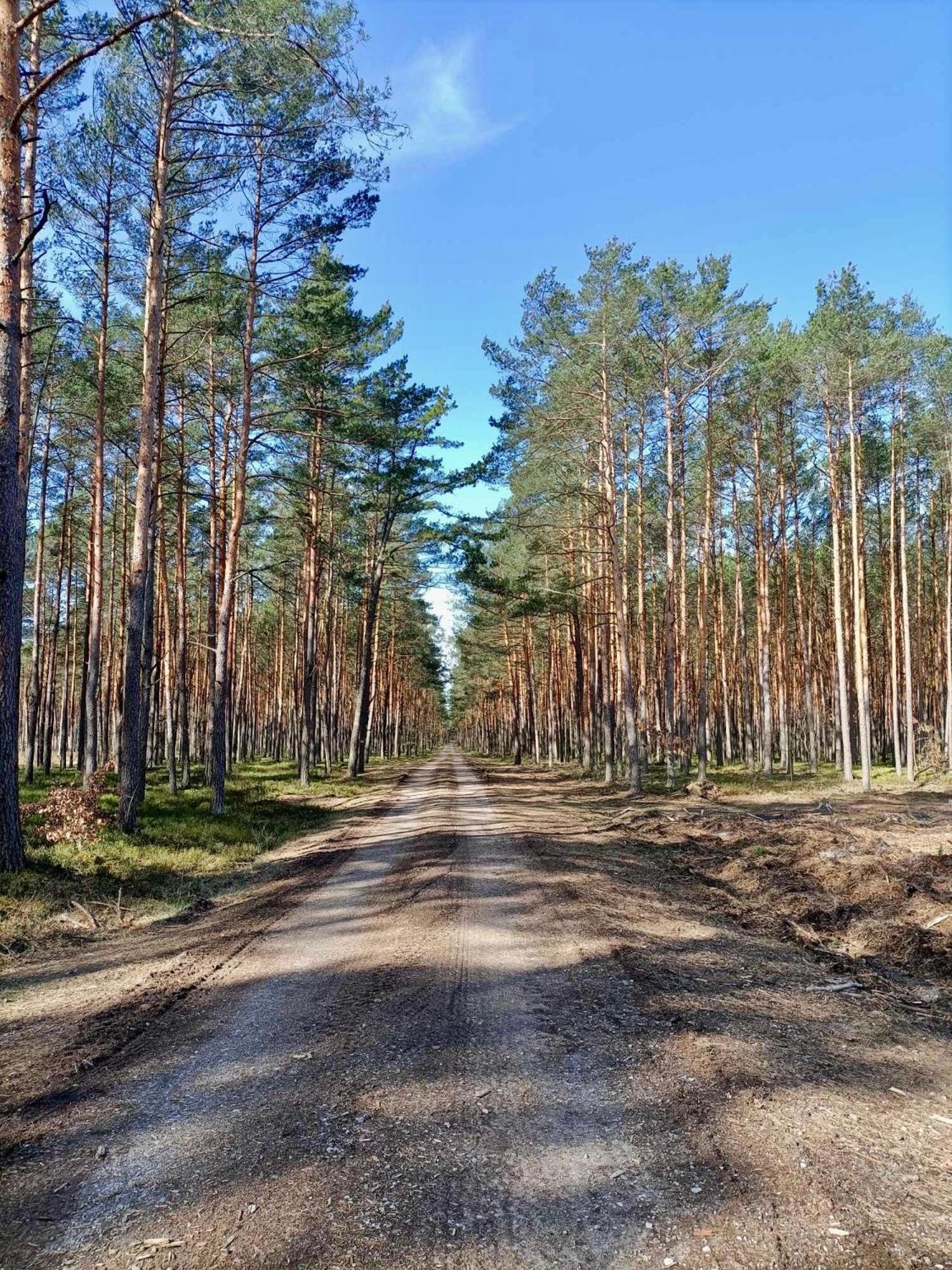Willa Leśniczówka Rzadza Zewnętrze zdjęcie