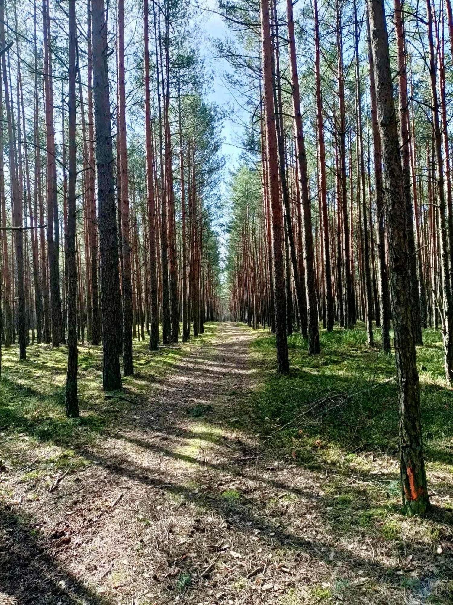Willa Leśniczówka Rzadza Zewnętrze zdjęcie